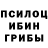Галлюциногенные грибы Psilocybine cubensis Richard Dickinson