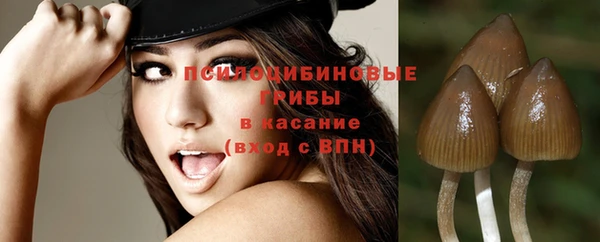 гидра Баксан