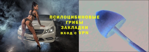 гидра Баксан