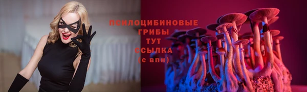 гидра Баксан