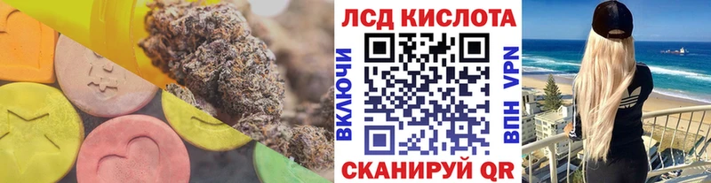 где купить наркоту  Приозерск  ЛСД экстази кислота 