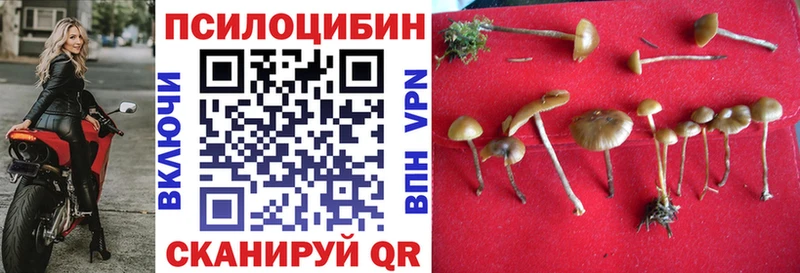 как найти OMG как зайти Псилоцибиновые грибы ЛСД Приозерск